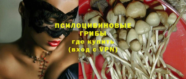 молекула духа Белокуриха
