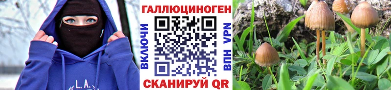 кракен маркетплейс  наркотики  Бутурлиновка  Псилоцибиновые грибы ЛСД 